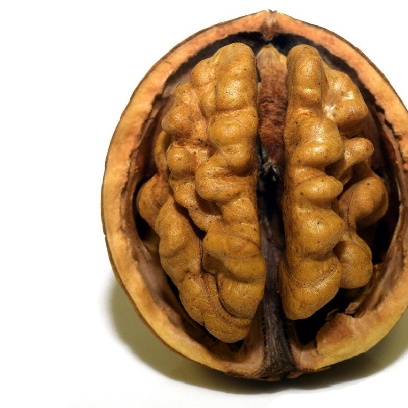 Dr. Detective: Head&nbsp;Case